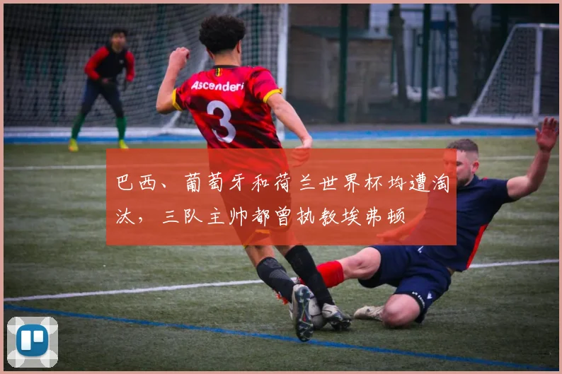 巴西、葡萄牙和荷兰世界杯均遭淘汰,三队主帅都曾执教埃弗顿